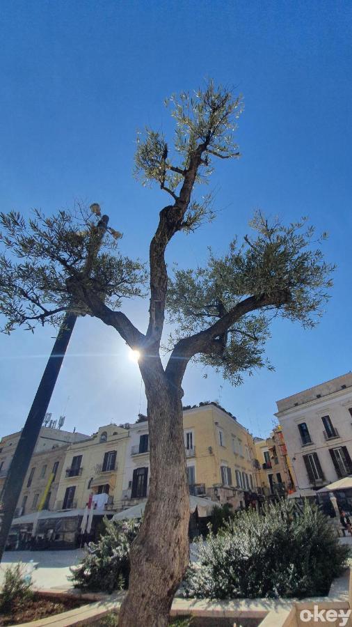 Dimora Donna Vittoria - Bari Vecchia Apartment Luaran gambar
